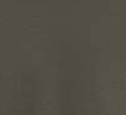 Army