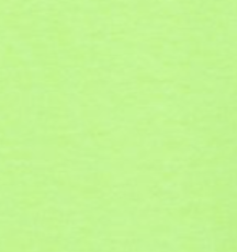 Neon Green