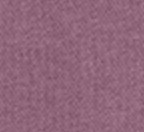 Orchid Haze